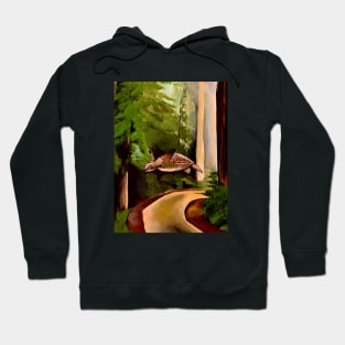 Turtle flying through redwood rainforest Hoodie